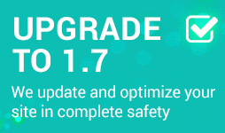 Prestashop Upgrade 1.7 service